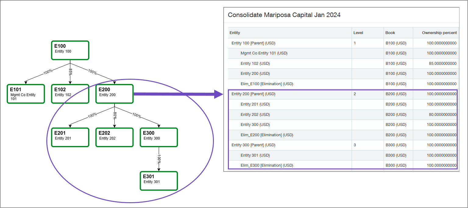 Entities E201, E202, E300, and E301 are being consolidated for the entity E200 reporting group.