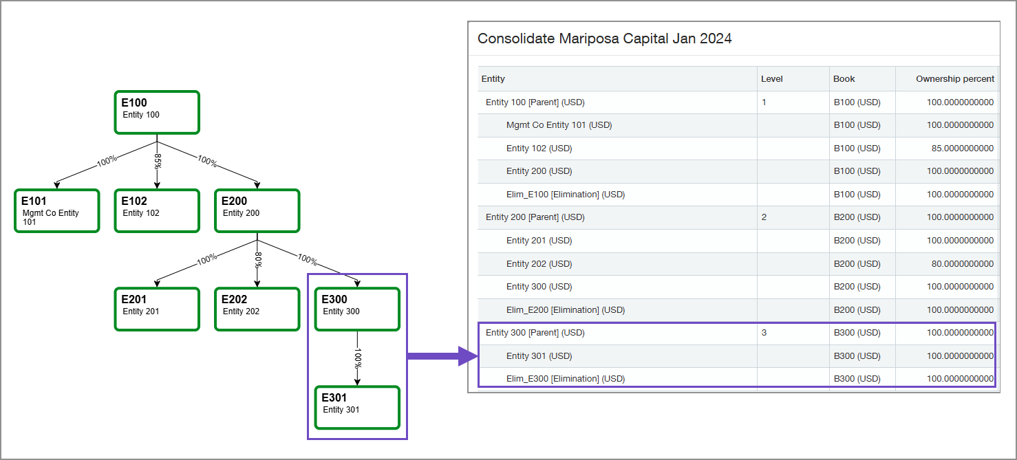 Entities E300 and E301 are being consolidated for the entity E300 reporting group.