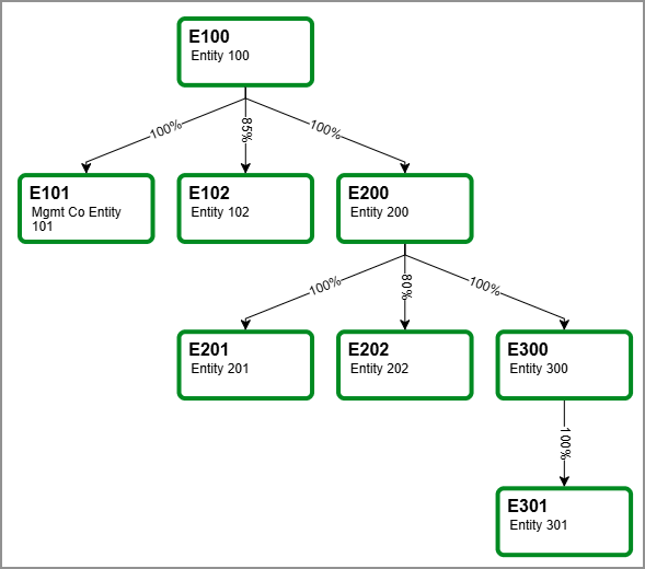 A 3-tiered ownership structure with entity E100 at the top; entities E101, E102, and E200 at the first subsidiary level; entities E201, E202, and E300 at the second subsidiary level; and entity E301 at the third subsidiary level.