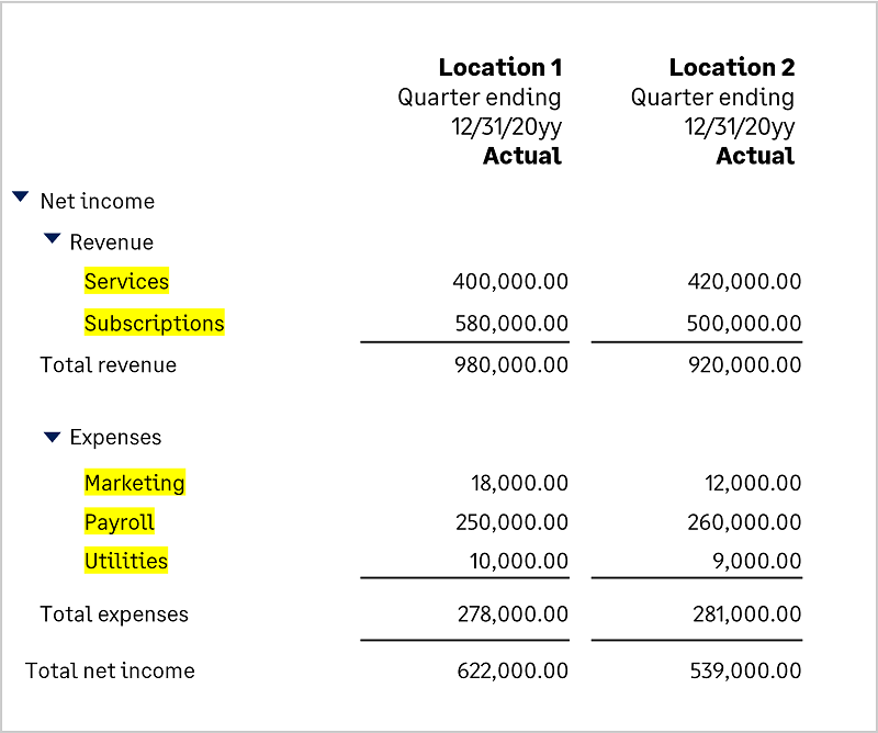 Example of report revenue and expense accounts and the resulting net income. An explanation is in the following text. 